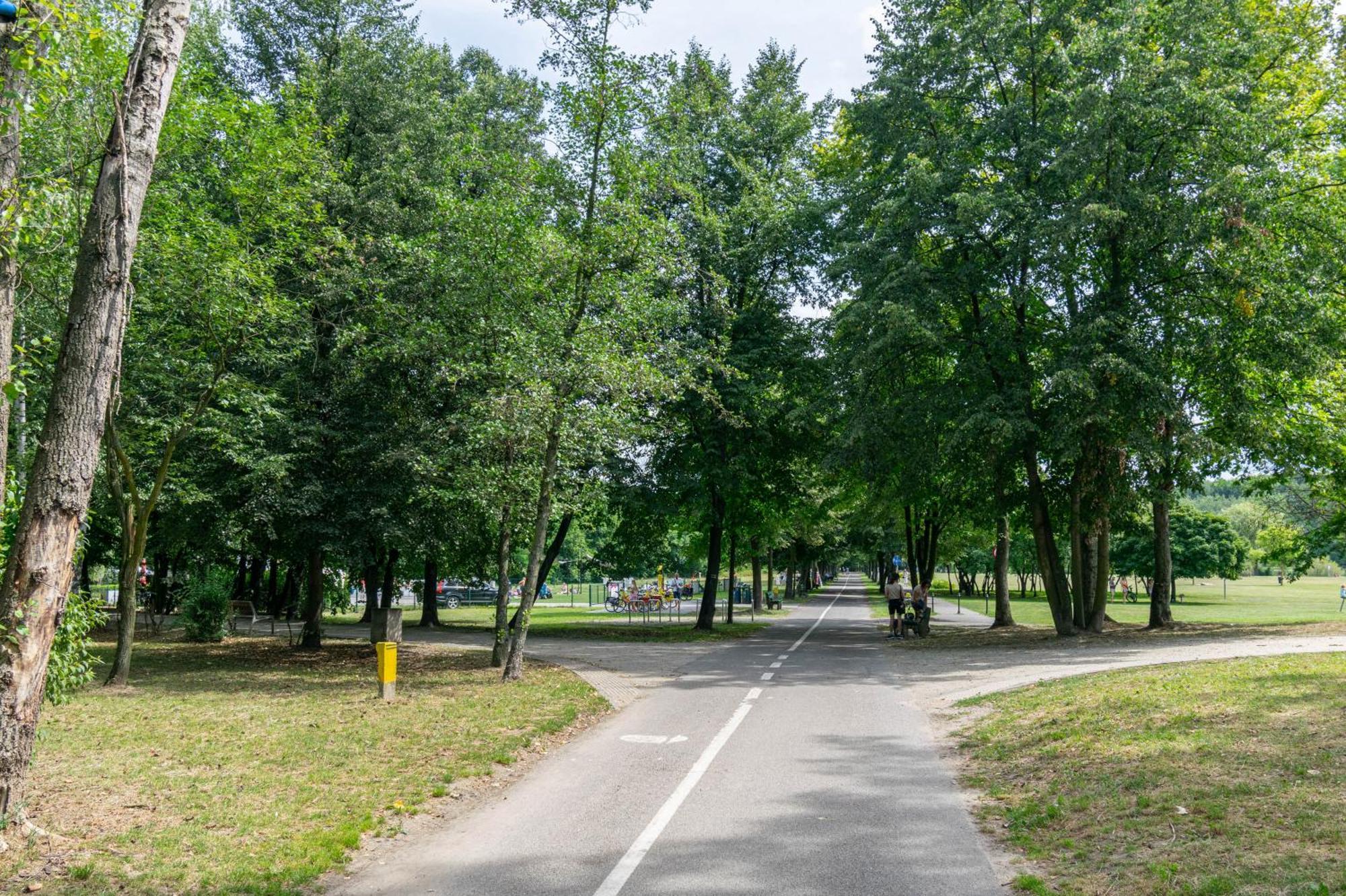 Oasis Trzy Stawy - Free Parking - Self Check-In Lägenhet Katowice Exteriör bild